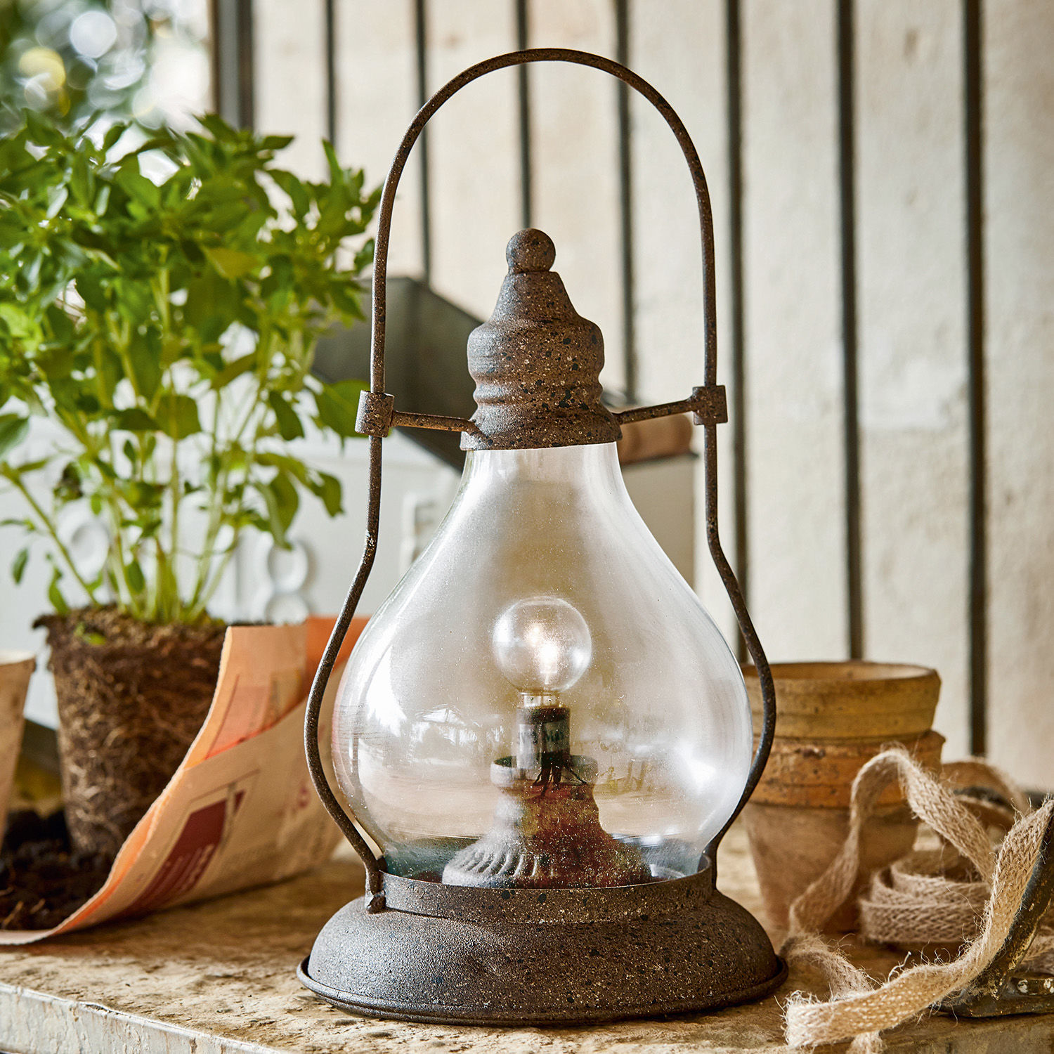LED-Laterne Cortney Rustikale Metalllampe mit klarem Glas und Glühbirne auf Tisch neben Pflanze und Töpfen