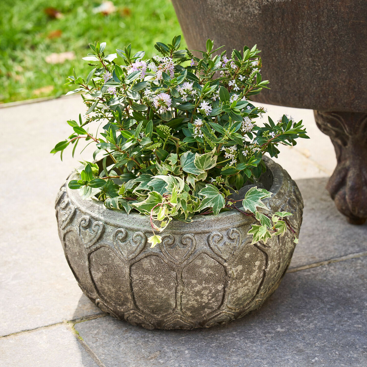 Runde graue Steingefäß mit grünen Pflanzen und weißen Blüten auf Steinboden im Garten