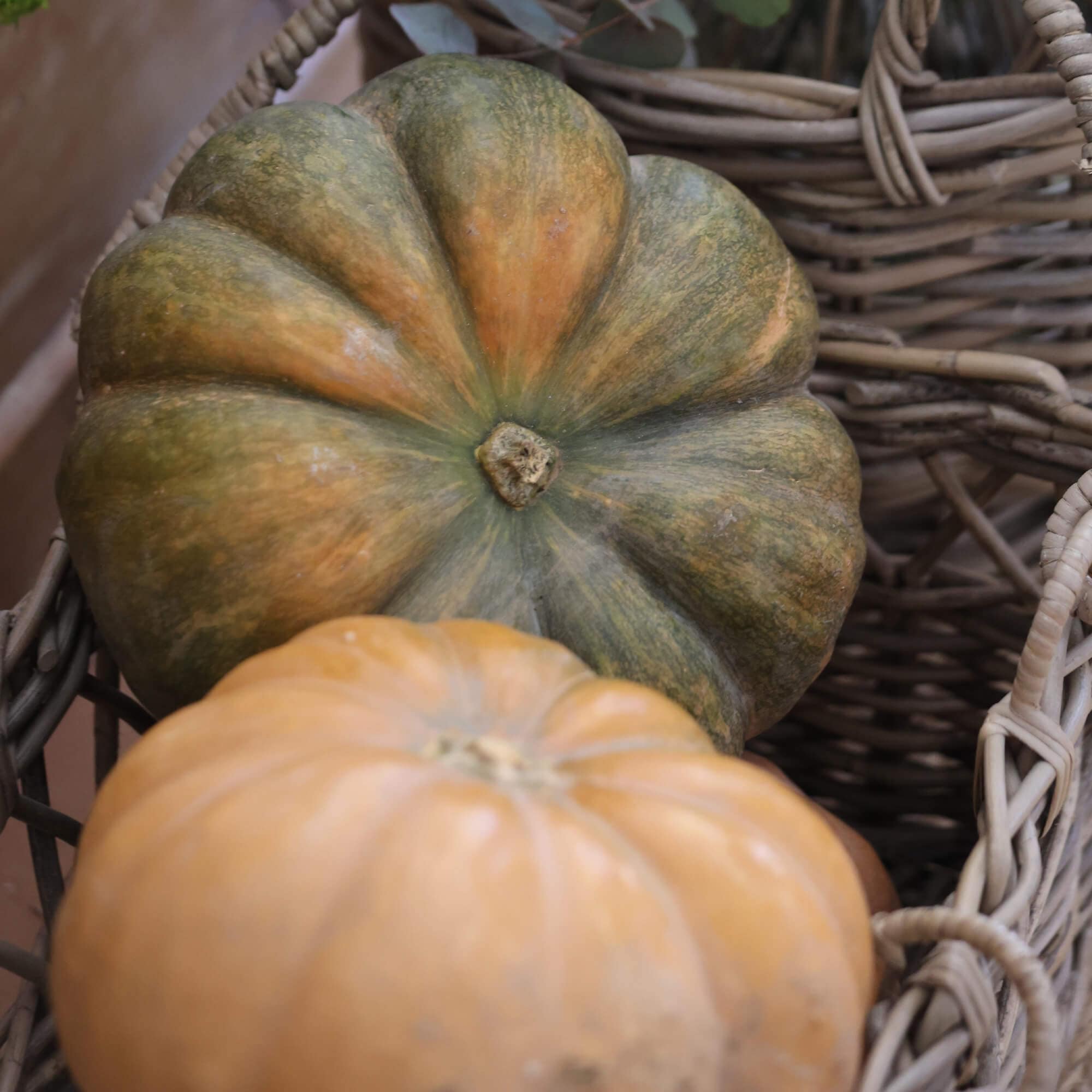 Zwei Kürbisse in einem Weidenkorb, grün-orange und hellorange, herbstliche Dekoration