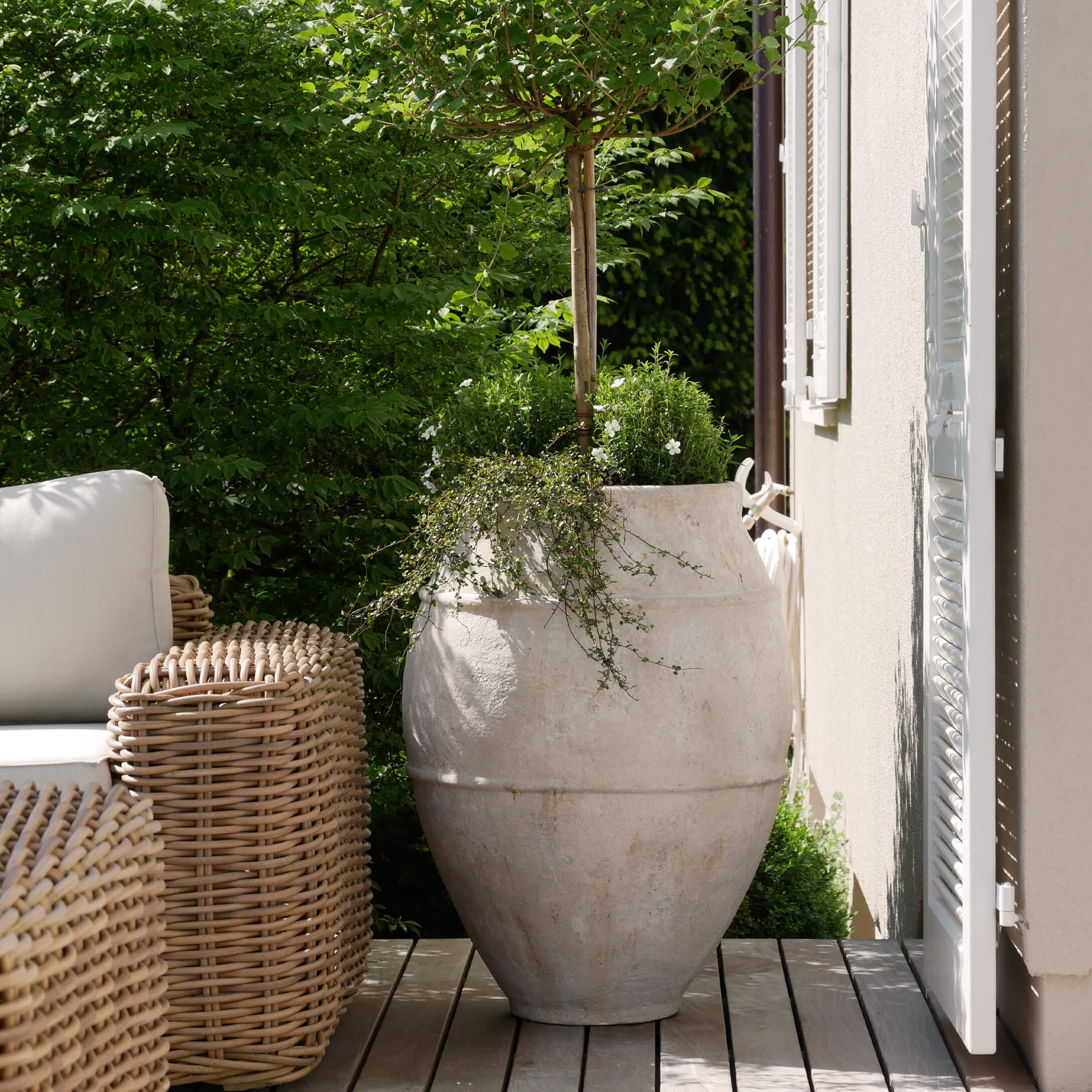 Großer heller Steintopf mit grünem Baum und weißen Blumen auf Terrasse neben Rattansessel