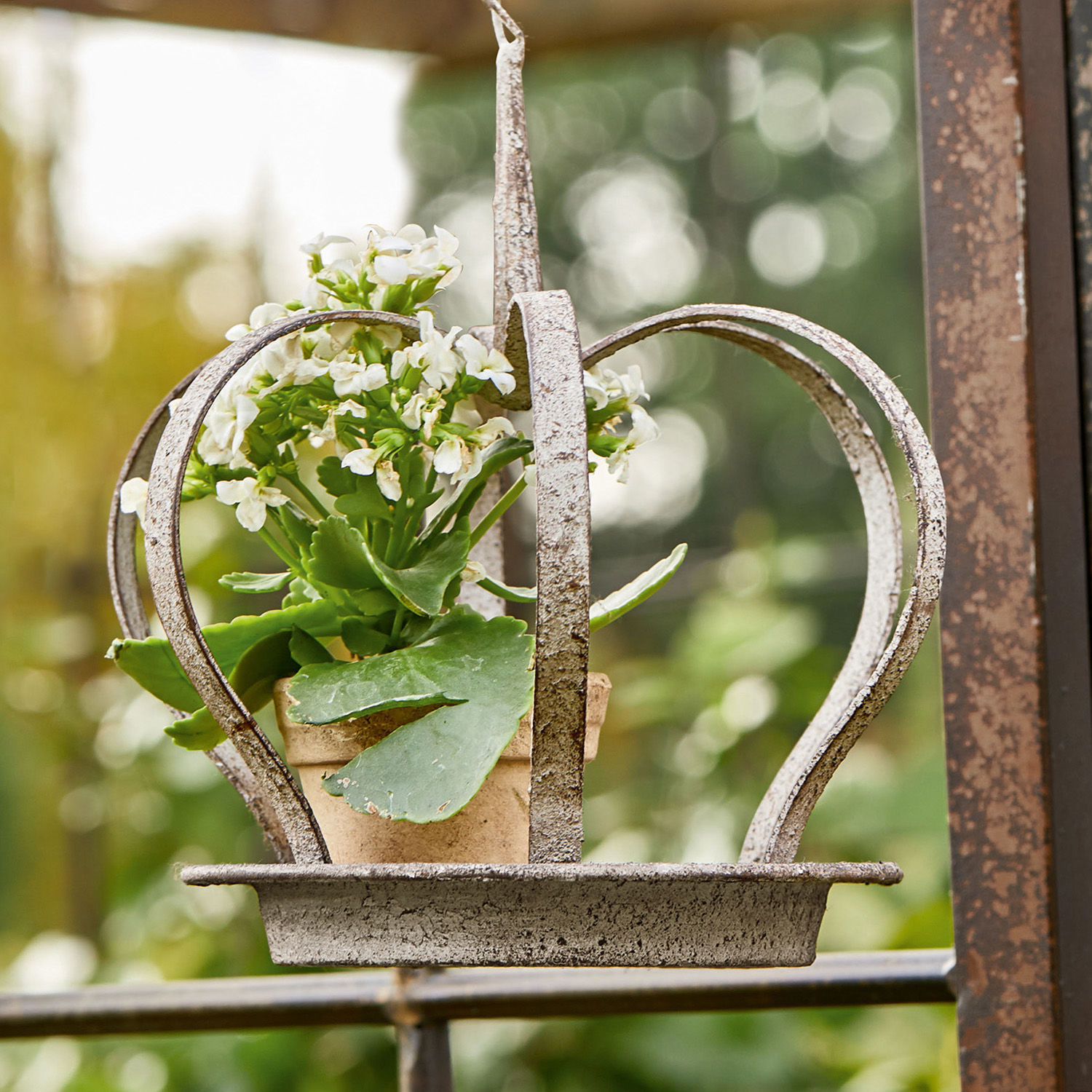 Metallkrone mit Blumentopf und weißen Blumen als Dekoration für Garten oder Zuhause