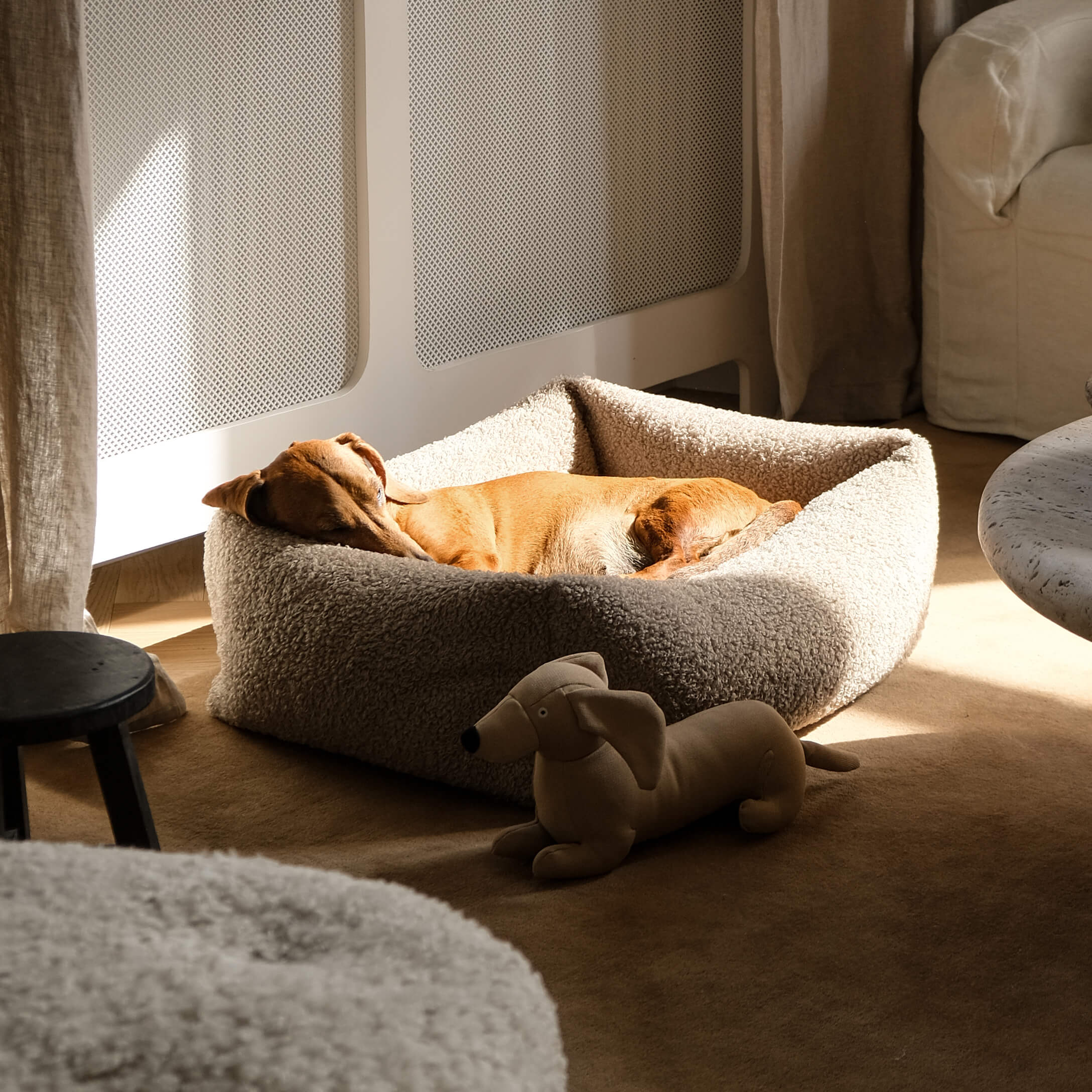 Brauner Hund schläft in einem beigen, weichen Hundebett aus Plüsch in hellem Raum