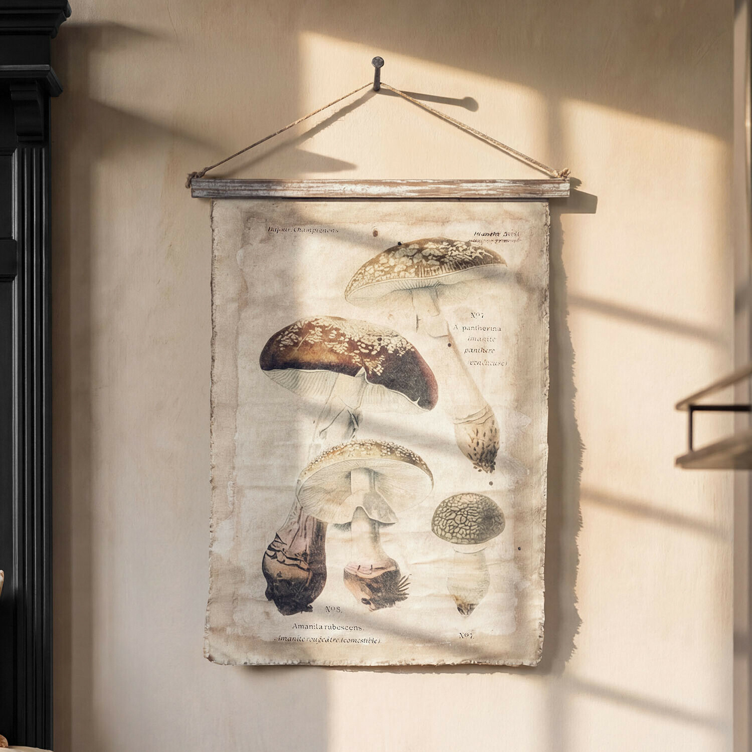 Bild Rynmor Leinwandposter mit Pilzzeichnung, hängend an Holzstab und Kordel an der Wand