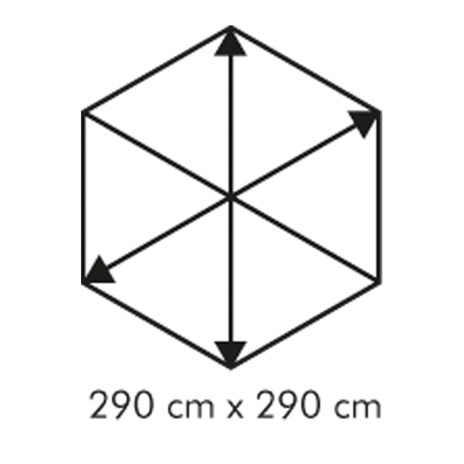 Schematische Darstellung eines Würfels mit den Maßen 290 cm x 290 cm