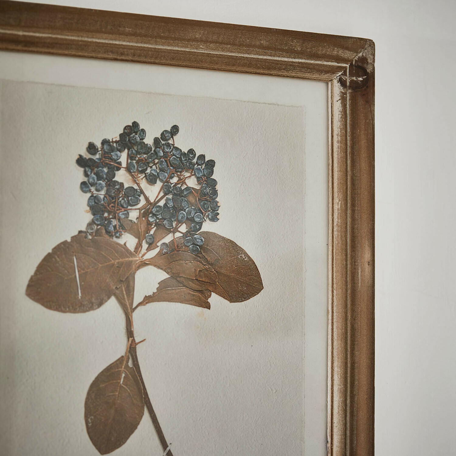Bild mit getrockneten Blättern und blauen Beeren in einem Holzrahmen, Vintage-Wanddekoration