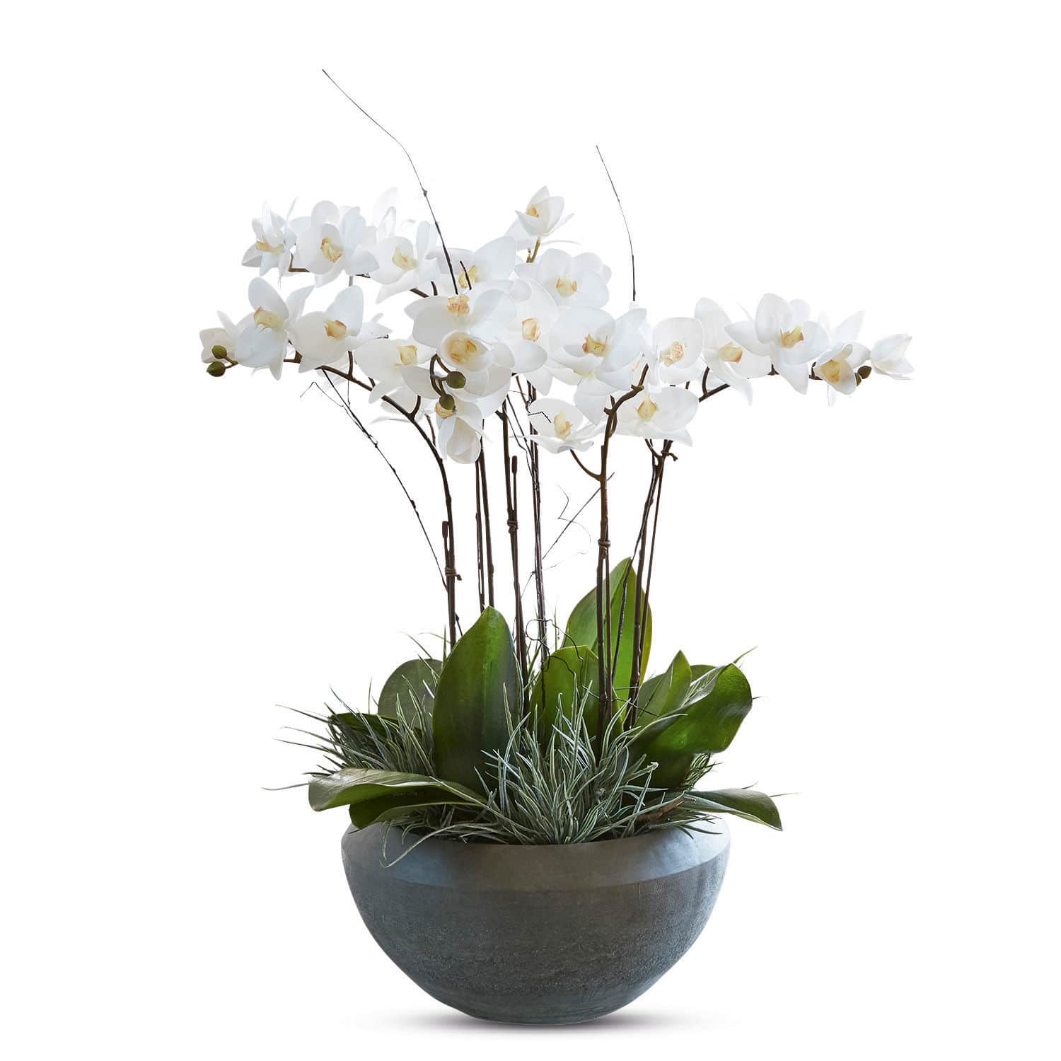 Dekoblume Balais