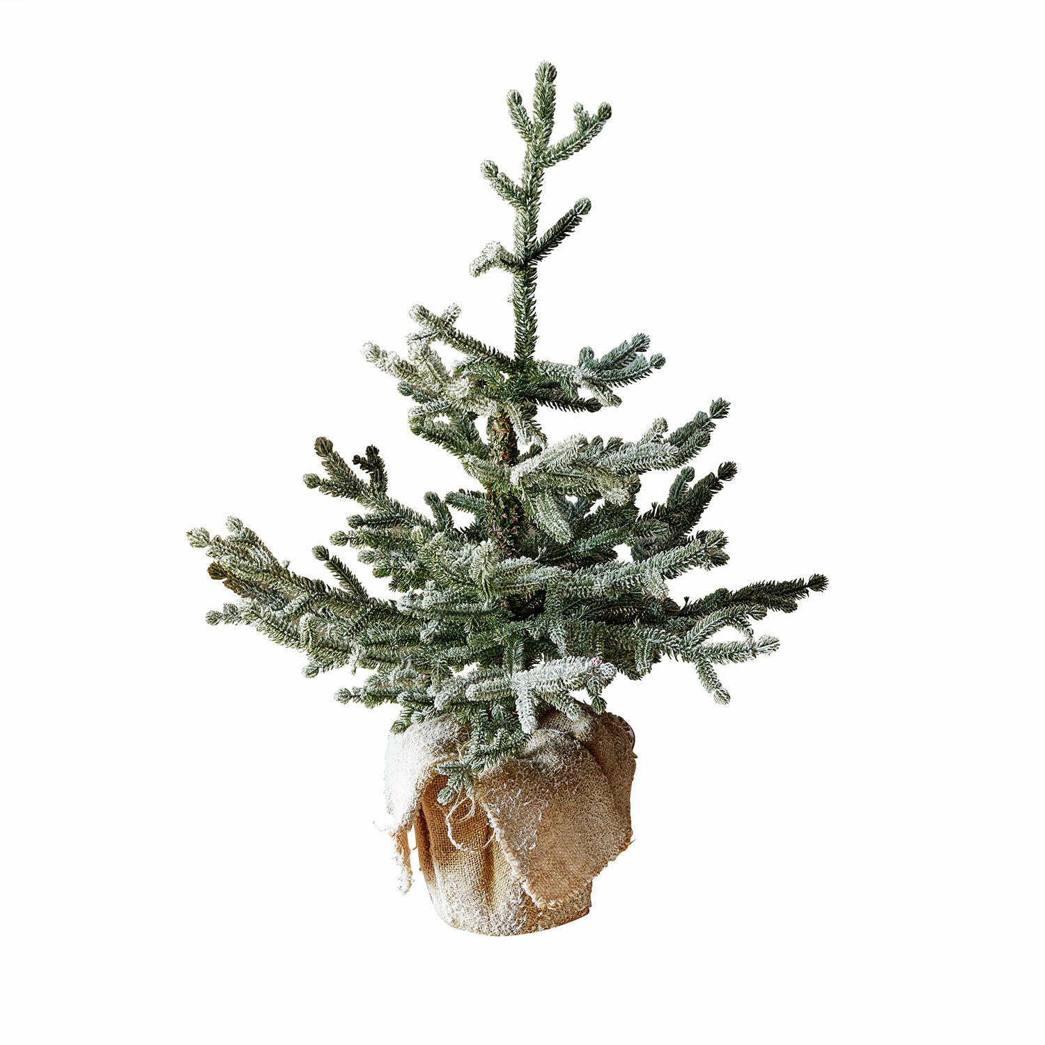Árbol decorativo Glenda | verde | Alto/Ø aprox. 70/46 cm Árbol decorativo Glenda | verde | Alto/Ø aprox. 70/46 cm