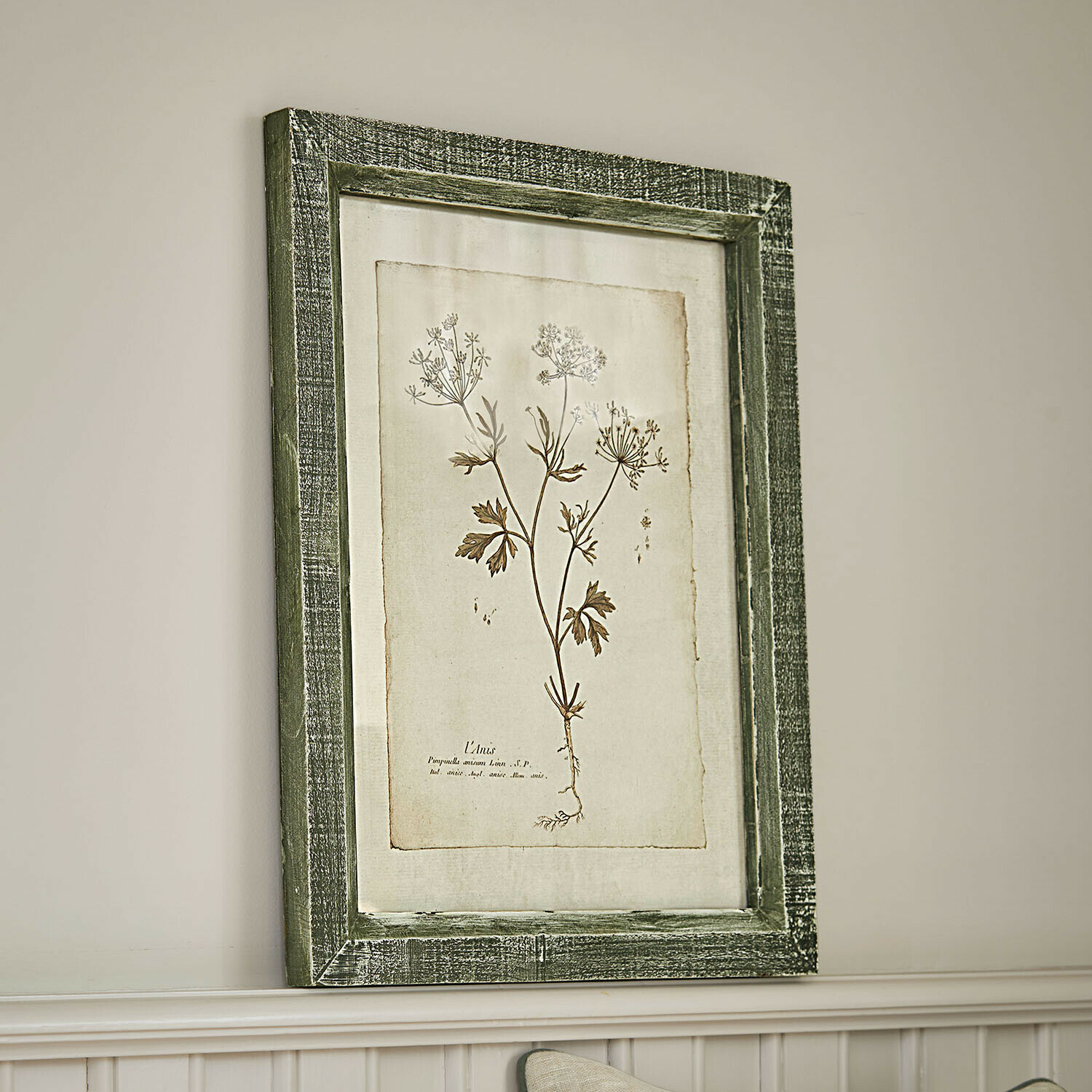 Bild Kenwick, Historisches Pflanzenmotiv, Weiß gekalkter Holzrahmen, Vintage-Look in antikgrün