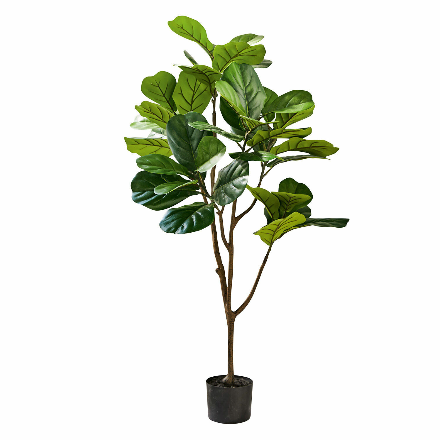 Planta decorativa en maceta Evolet | verde | Alto/Ancho/P aprox. 120/65/45 cm Planta decorativa en maceta Evolet | verde | Alto/Ancho/P aprox. 120/65/45 cm