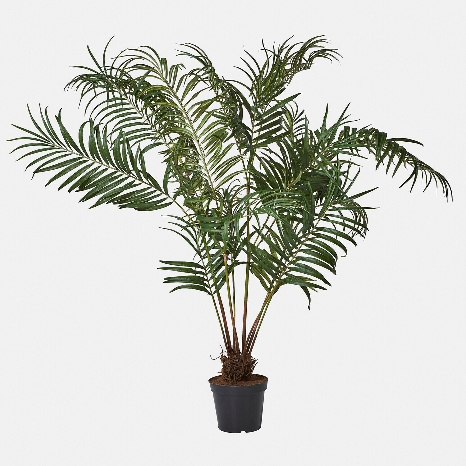 Deko-Palmenplanze Mersina Künstliche Palme in schwarzem Topf mit grünen Blättern zur Wohn- und Gartendekoration