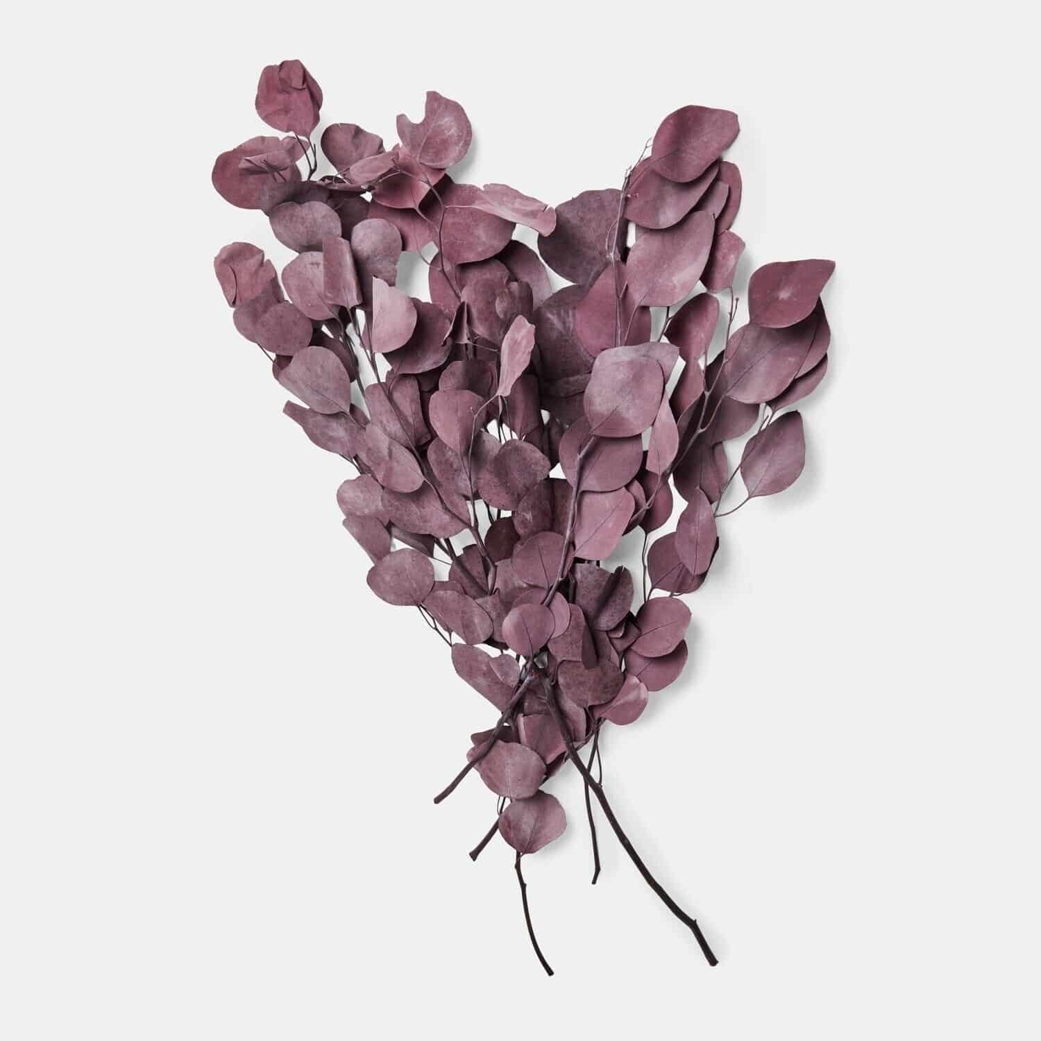 Kunstblume Eukalyptus Ianthee Kunstblume Eukalyptus Ianthee