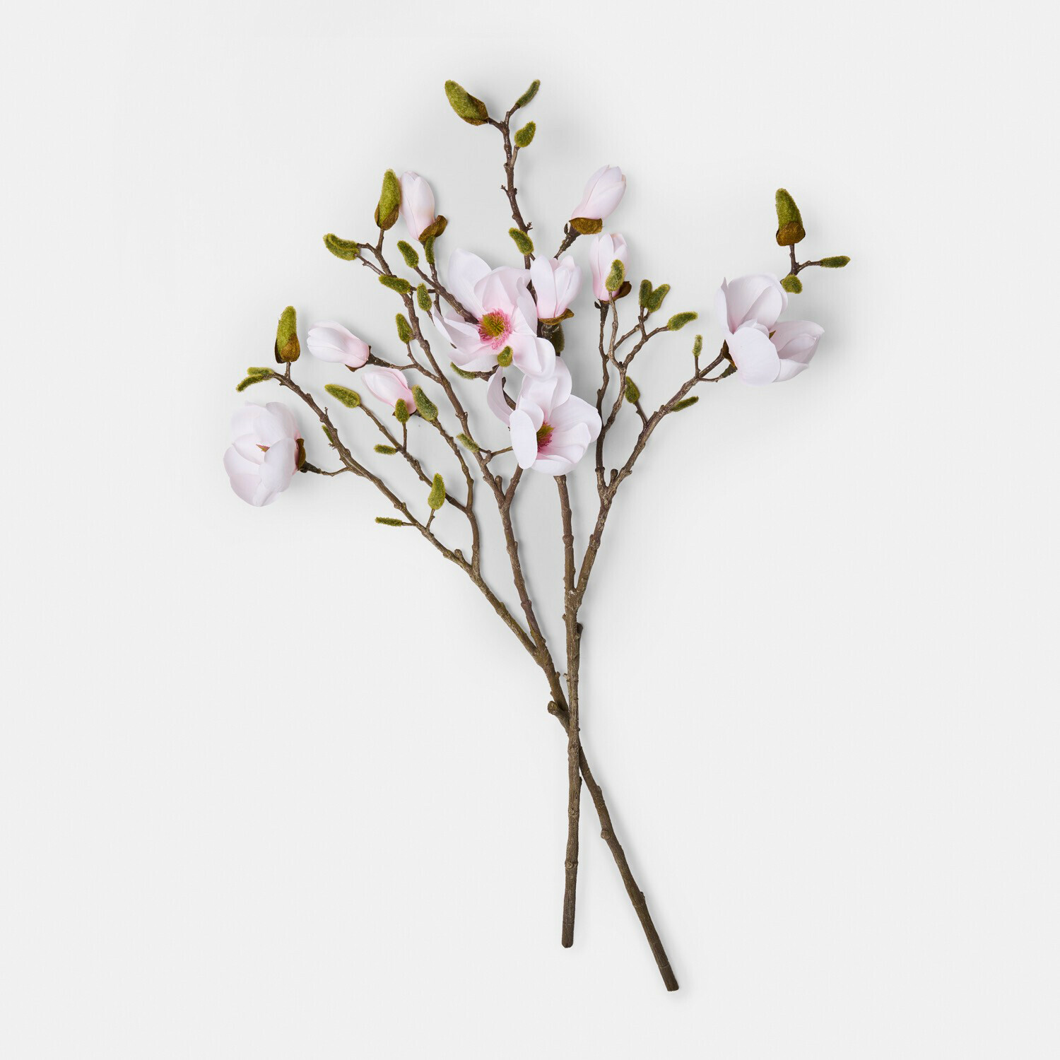 hellrosa Dekorative Zweige mit hellrosa Blüten und grünen Knospen an braunen Stielen
