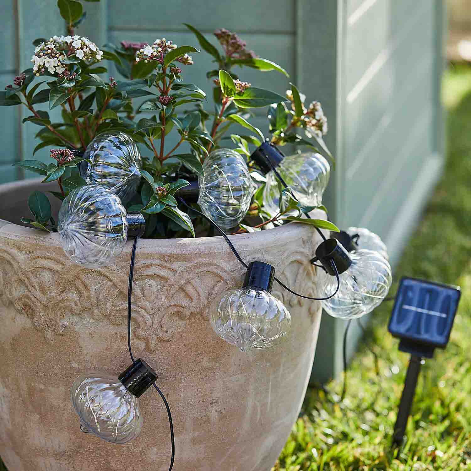 Solar-Lichterkette mit gläsernen Birnenlampen an dekorativem Blumentopf mit grünen Blättern und weißen Blüten