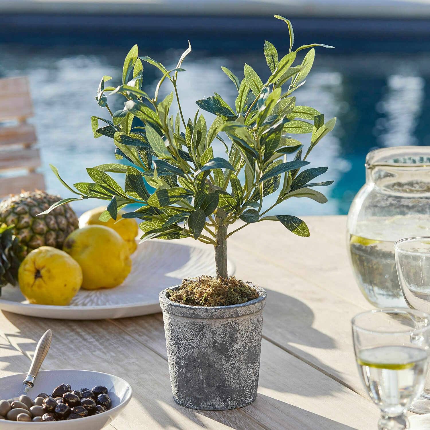 Deko-Topfpflanze Mariuccia Kleiner künstlicher Baum in grauem Betontopf auf Holztisch mit Früchten und Wasser