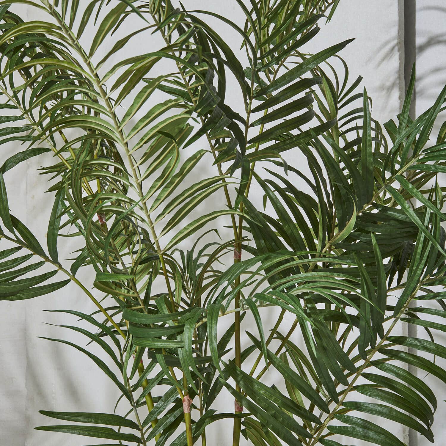 Deko-Palmenplanze Mersina