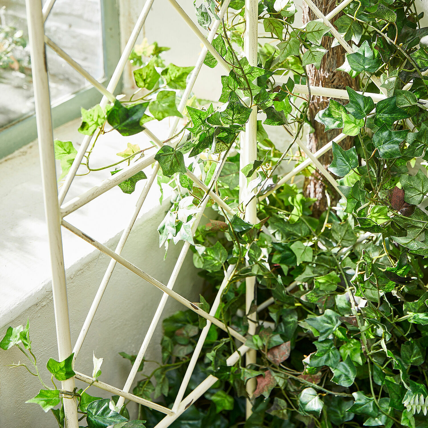 Weißes Metallspalier mit grünem Efeu am Fenster für Garten- und Wohnraumdekoration