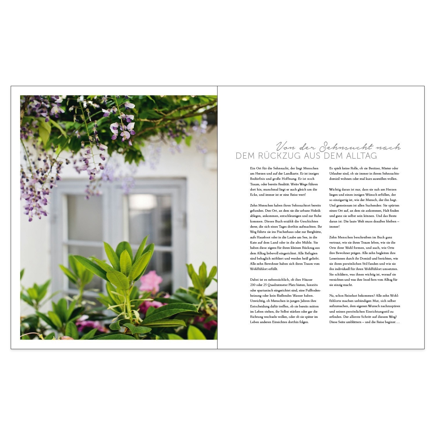 Buchseite mit Text und Foto von grünen Blättern und lila Blüten vor einem Fenster