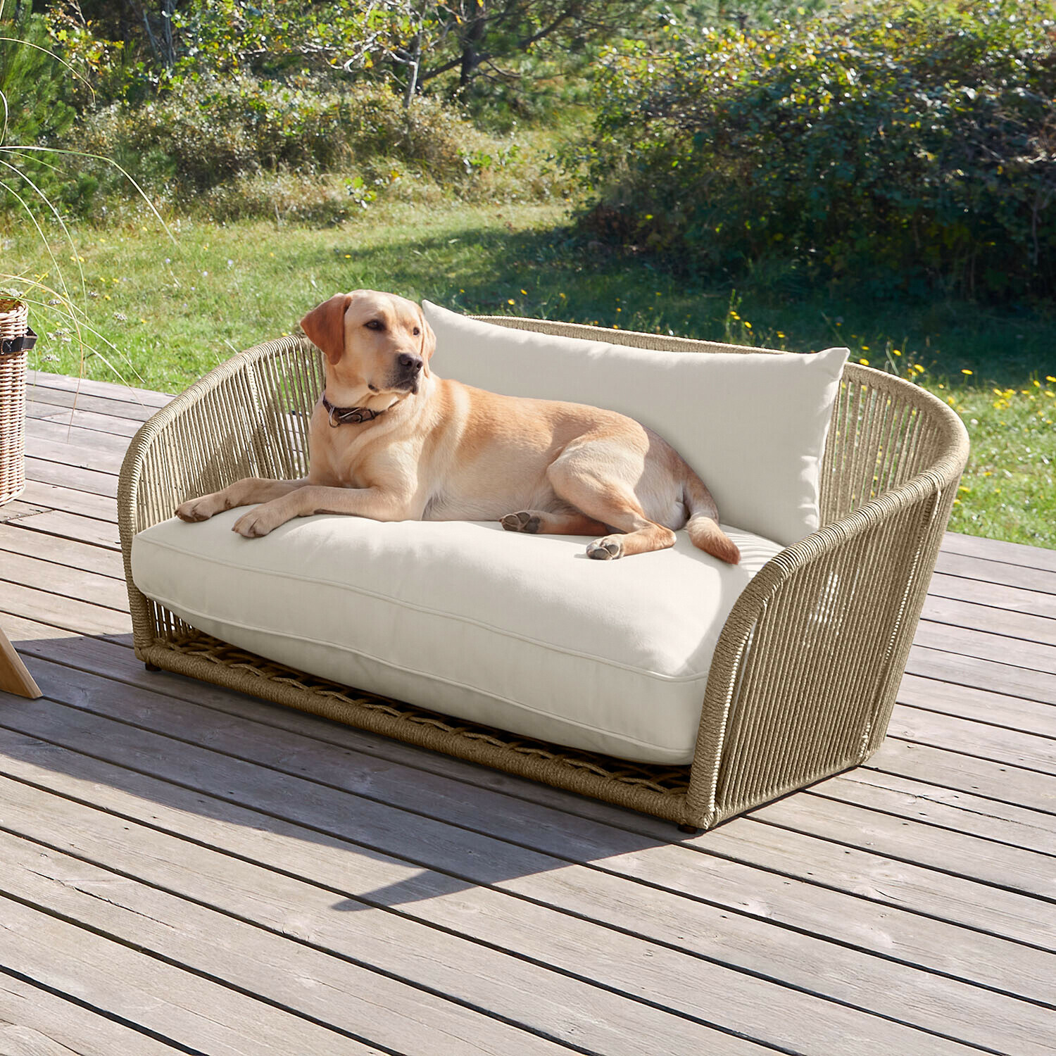 Geflochtenes Rattan-Sofa mit cremefarbenen Kissen auf Holzterrasse, Hund liegt darauf