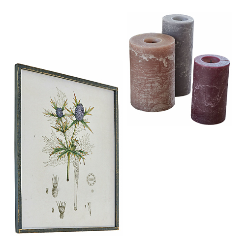Set aus drei braunen und bordeauxfarbenen Kerzen mit botanischem Bild in Rahmen