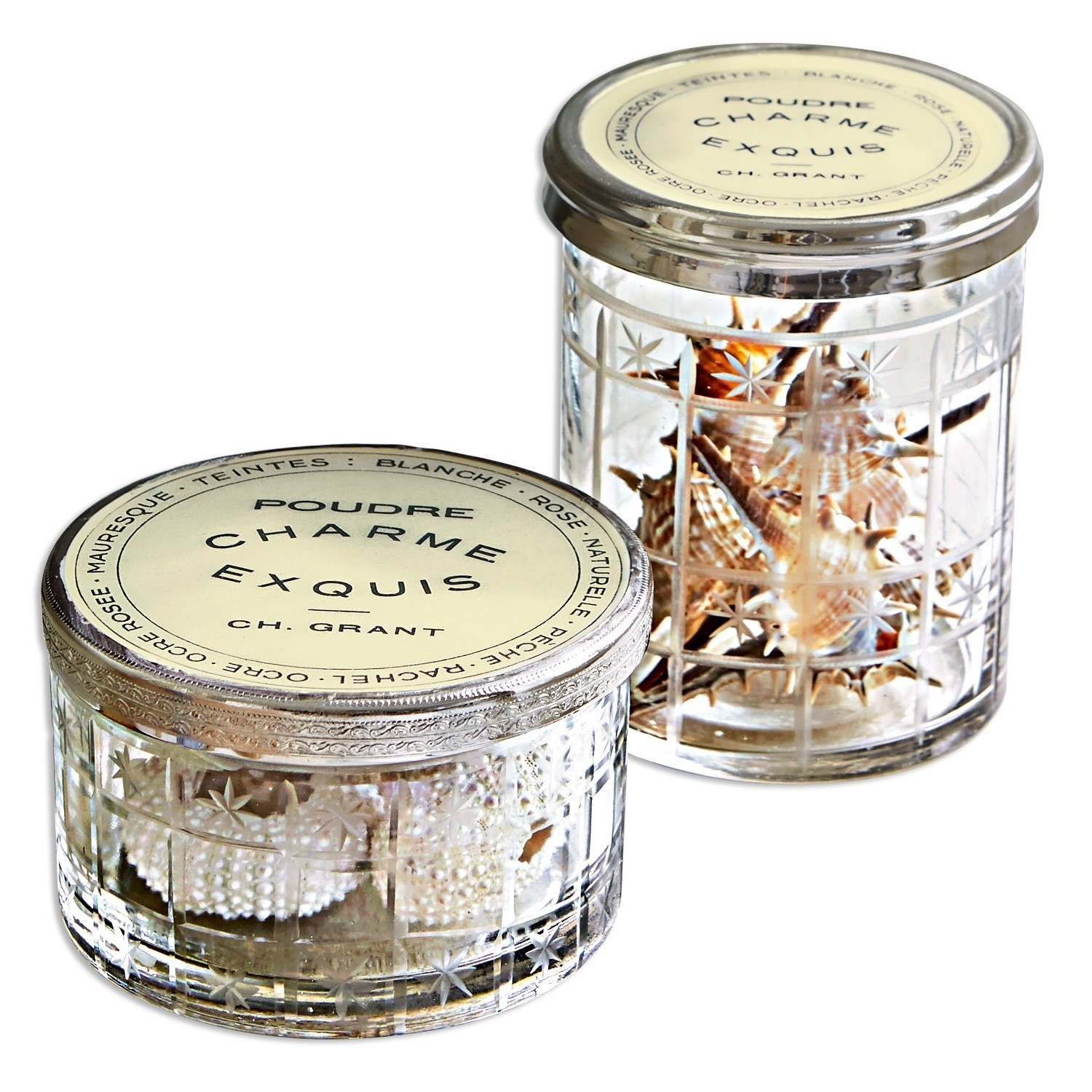 Glasbehälter mit Metalldeckeln und Muscheln innen, dekoratives Wohnaccessoire
