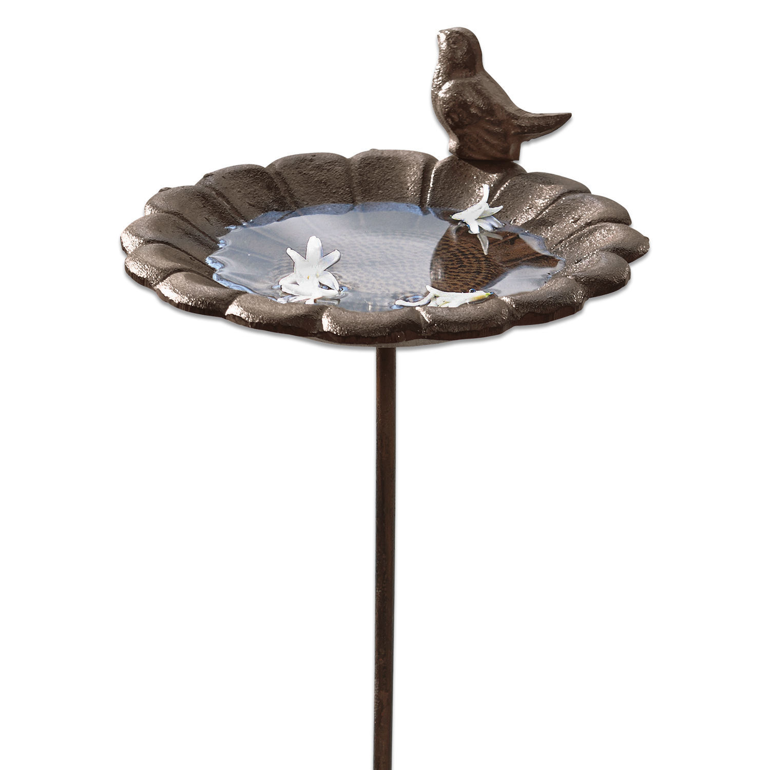 Vogeltränke Finch Dekorativer brauner Metall-Vogeltränke mit Vogelmotiv und Wasserschale für den Garten