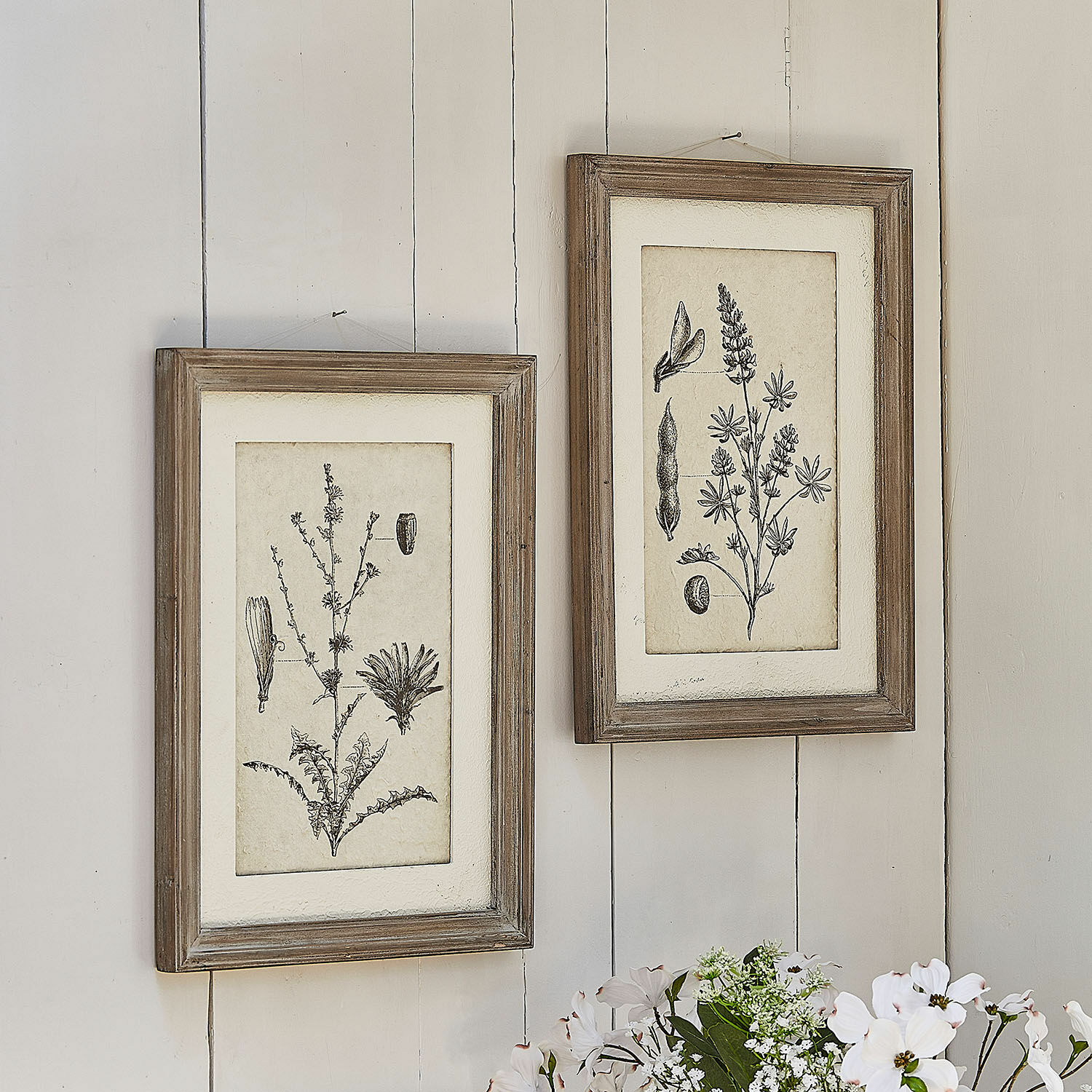 Bild 2er Set Stanbury Zwei rustikale Holzrahmen mit schwarz-weißen botanischen Zeichnungen an der Wand, Wanddekoration