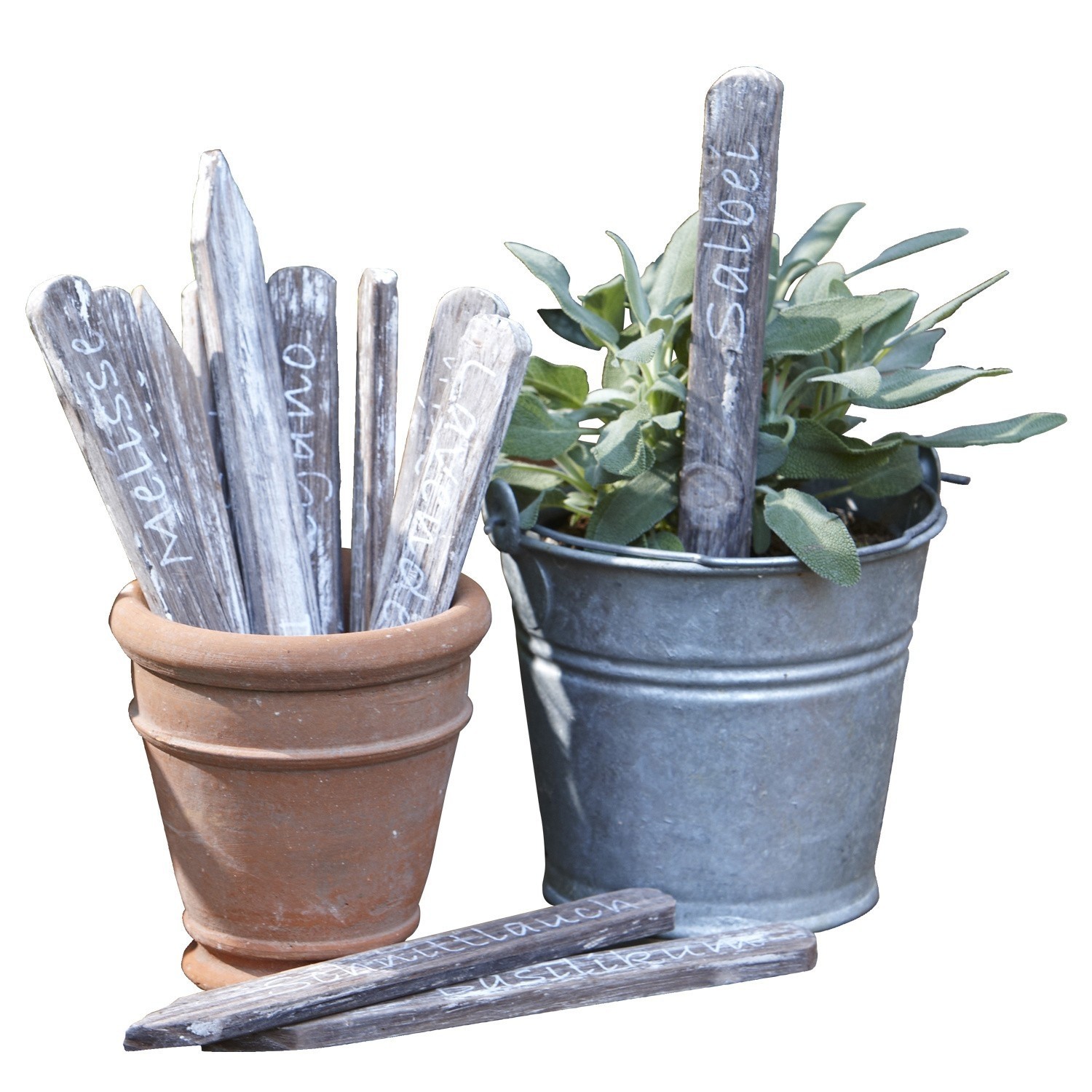 Set aus Holzpflanzschildern für Kräuter in Terrakotta-Topf und Metall-Eimer