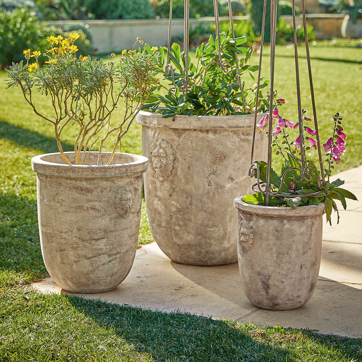 Übertopf 3er Set Autigny Drei große graue Betontöpfe mit Pflanzen im sonnigen Garten auf Terrasse