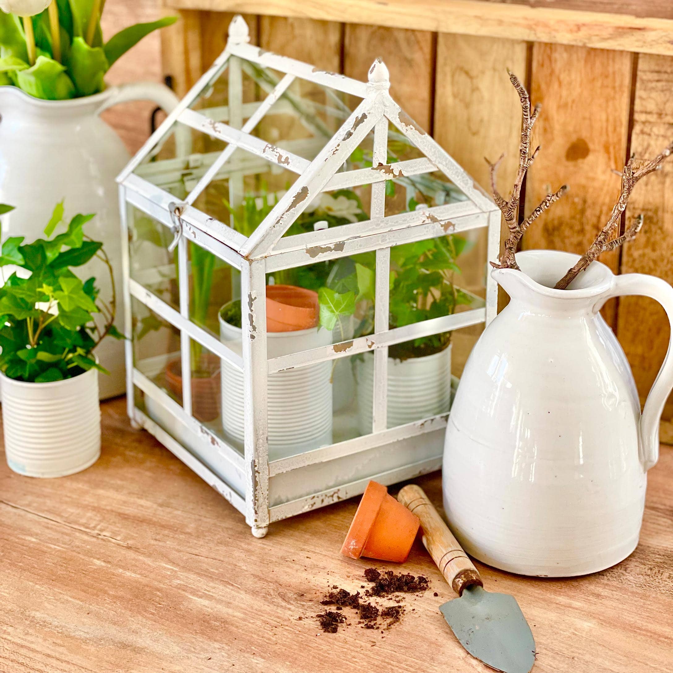 Weiße Metall-Mini-Gewächshaus mit Patina und Pflanzen auf Holztisch für Garten-Deko