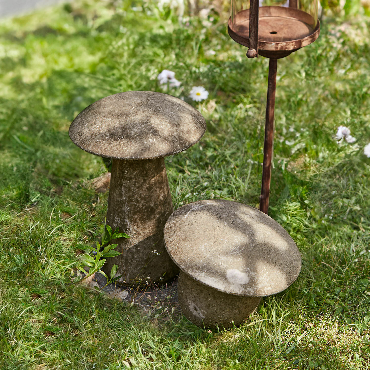Deko-Pilz 2er Set Coudrelle