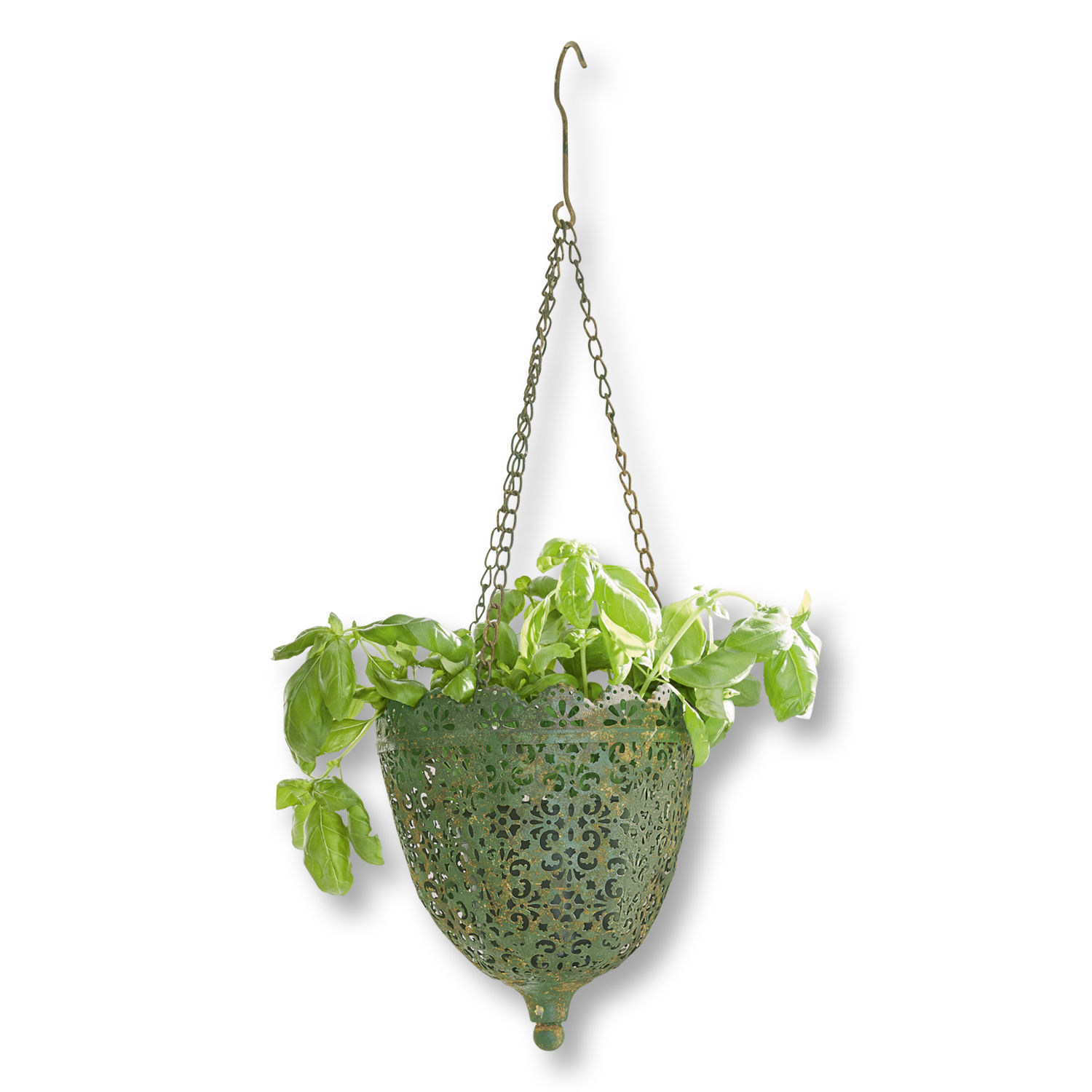 Grüner Metall-Hängeblumentopf mit filigranem Muster und Pflanze, Gartendekoration