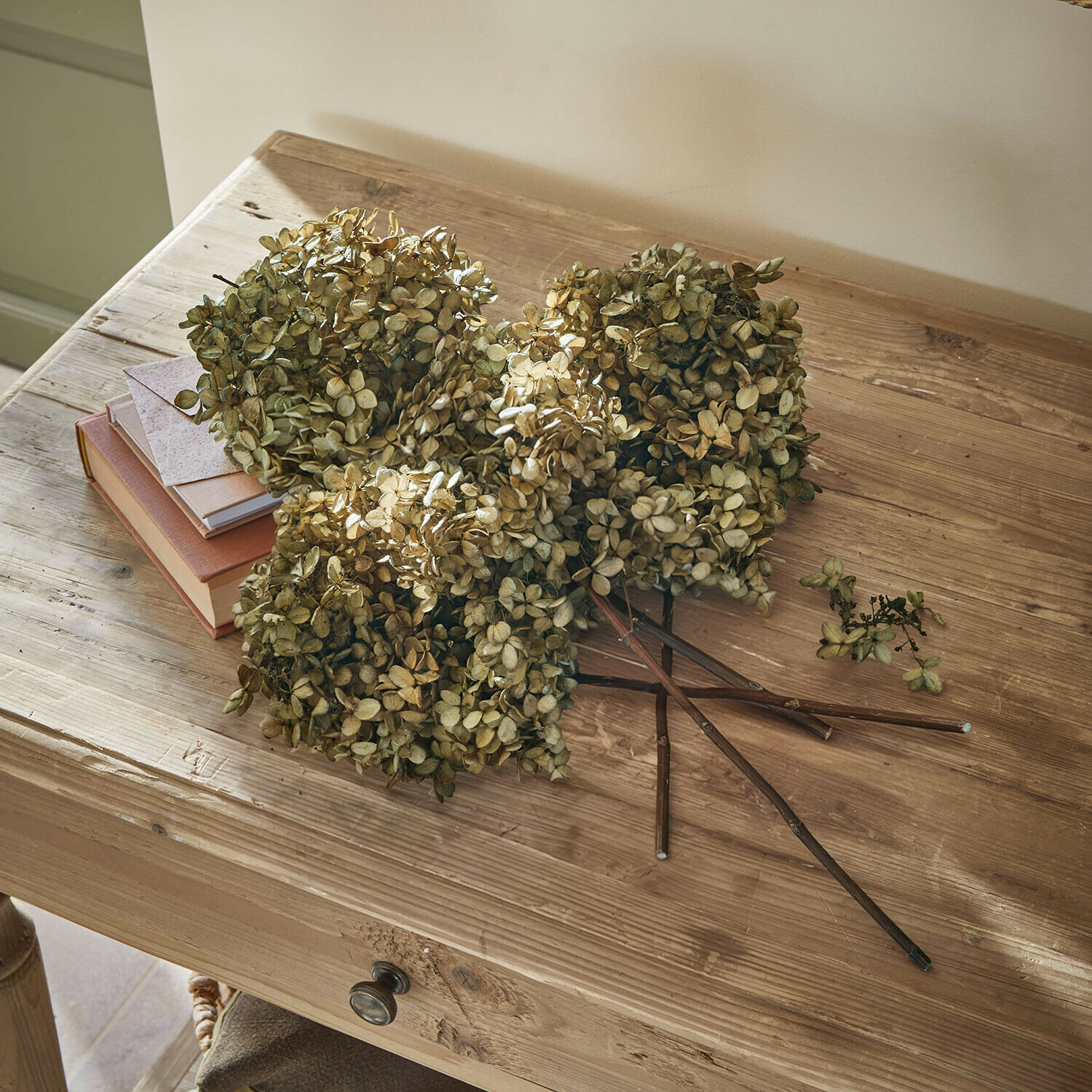 Getrocknete beige Hortensienblüten auf Holztisch mit Büchern und Briefumschlag