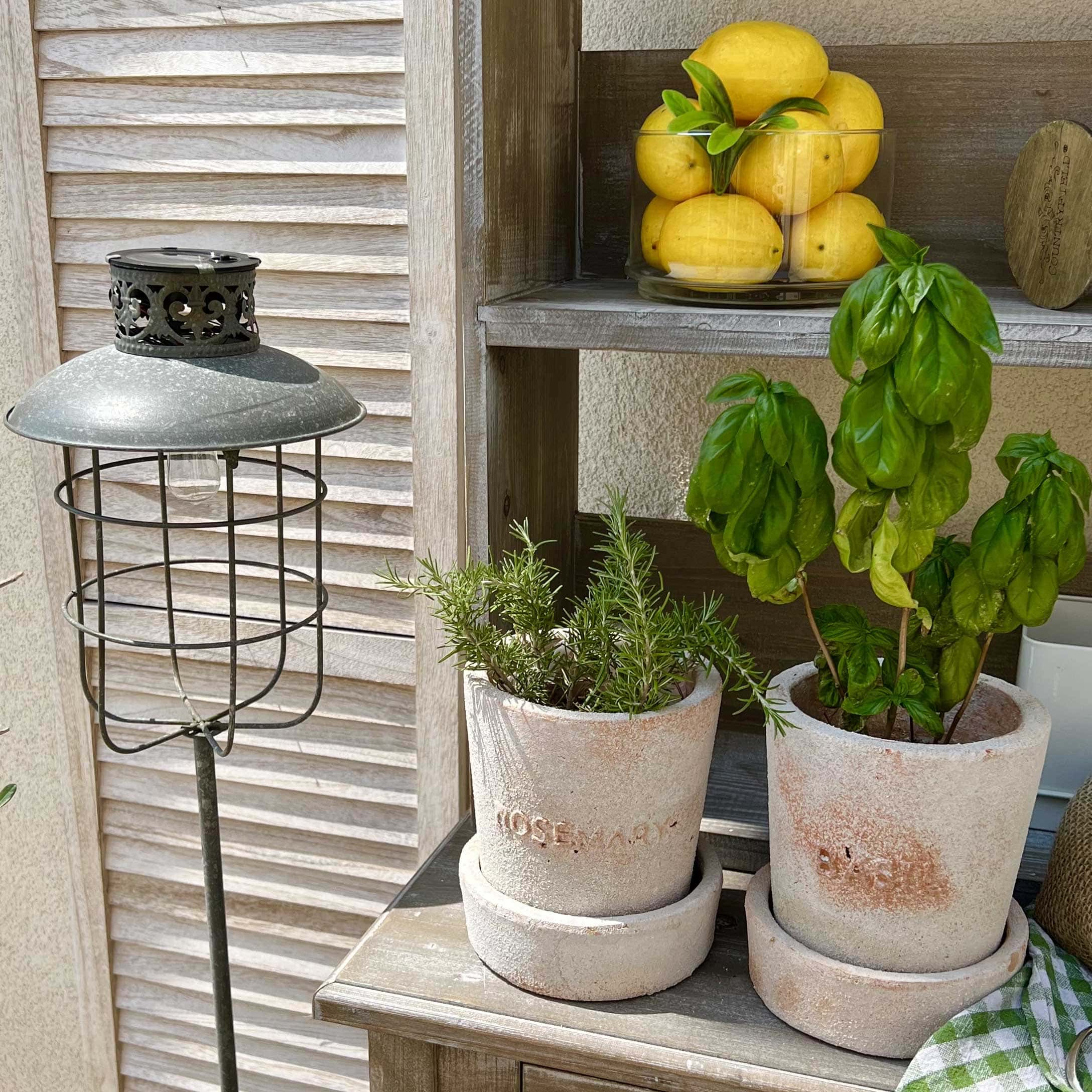 Terrakotta-Töpfe mit Rosmarin und Basilikum auf Holztisch neben einer Gartenlampe