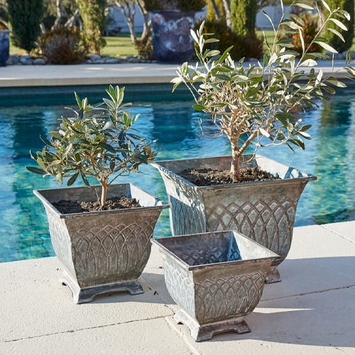 Drei graue Metallpflanzgefäße im Vintage-Stil am Pool, ideal für Gartenpflanzen und Outdoor-Deko