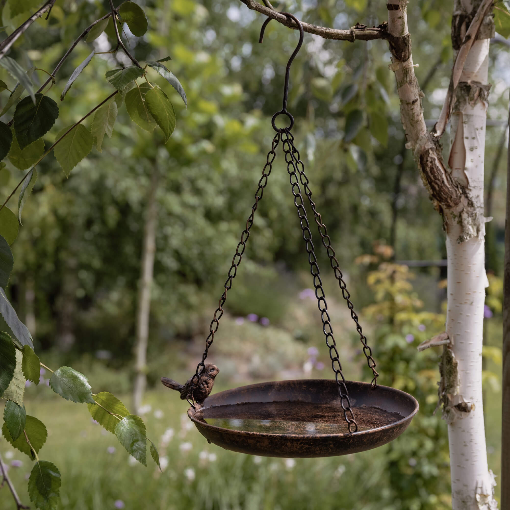 Hängendes Metall-Vogelbad mit Ketten und dekorativem Vogel im grünen Garten