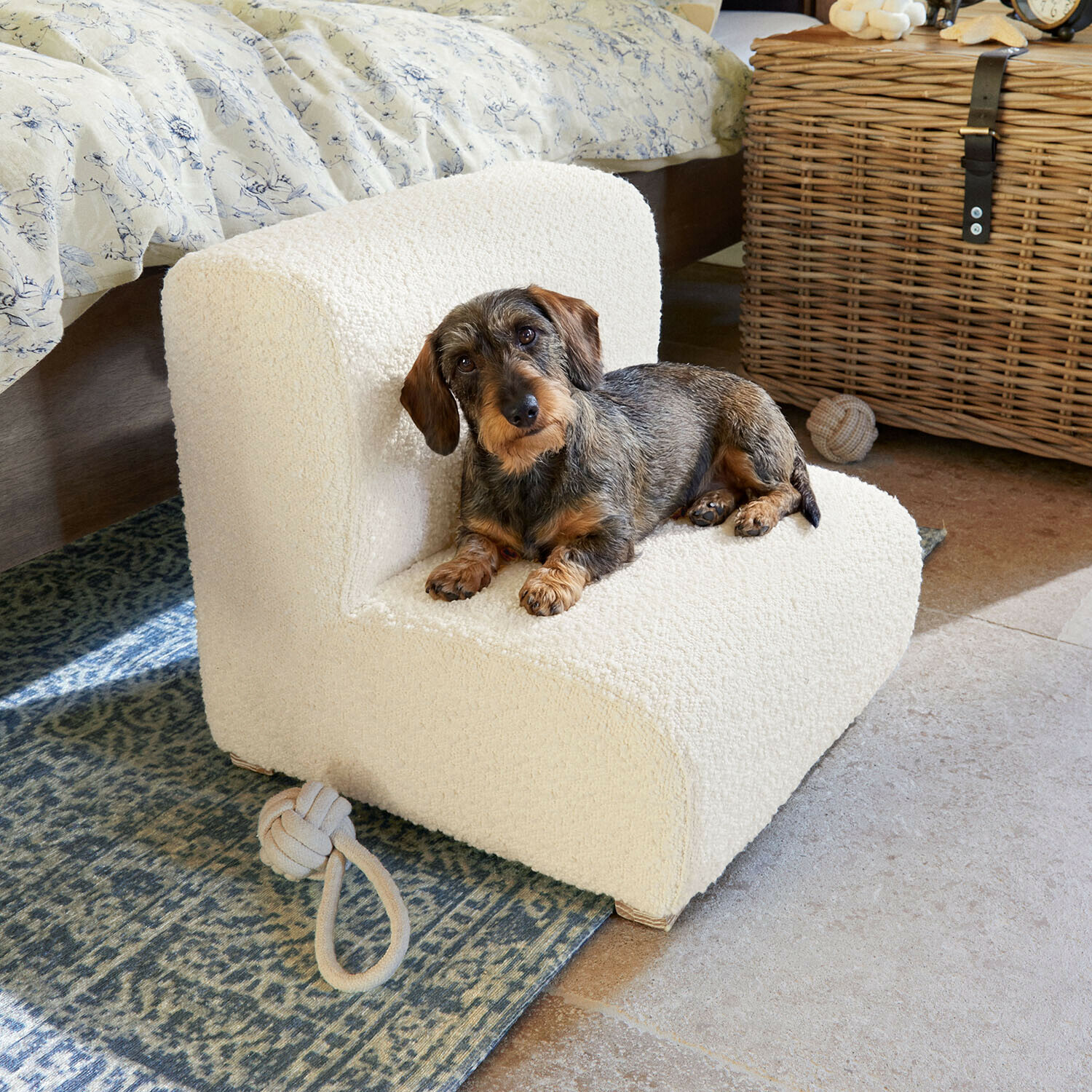 Kleiner Dackel liegt auf cremefarbenem Sessel aus weichem Material in gemütlichem Zimmer mit Teppich