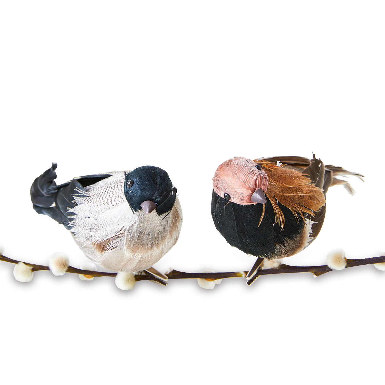Zwei dekorative Vögel aus Federn auf Zweig mit Knospen, natürliche Wohnraumdekoration