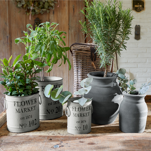 Set aus grauen und schwarzen Blumentöpfen mit Flower Market Schriftzug und grünen Pflanzen auf Holztisch