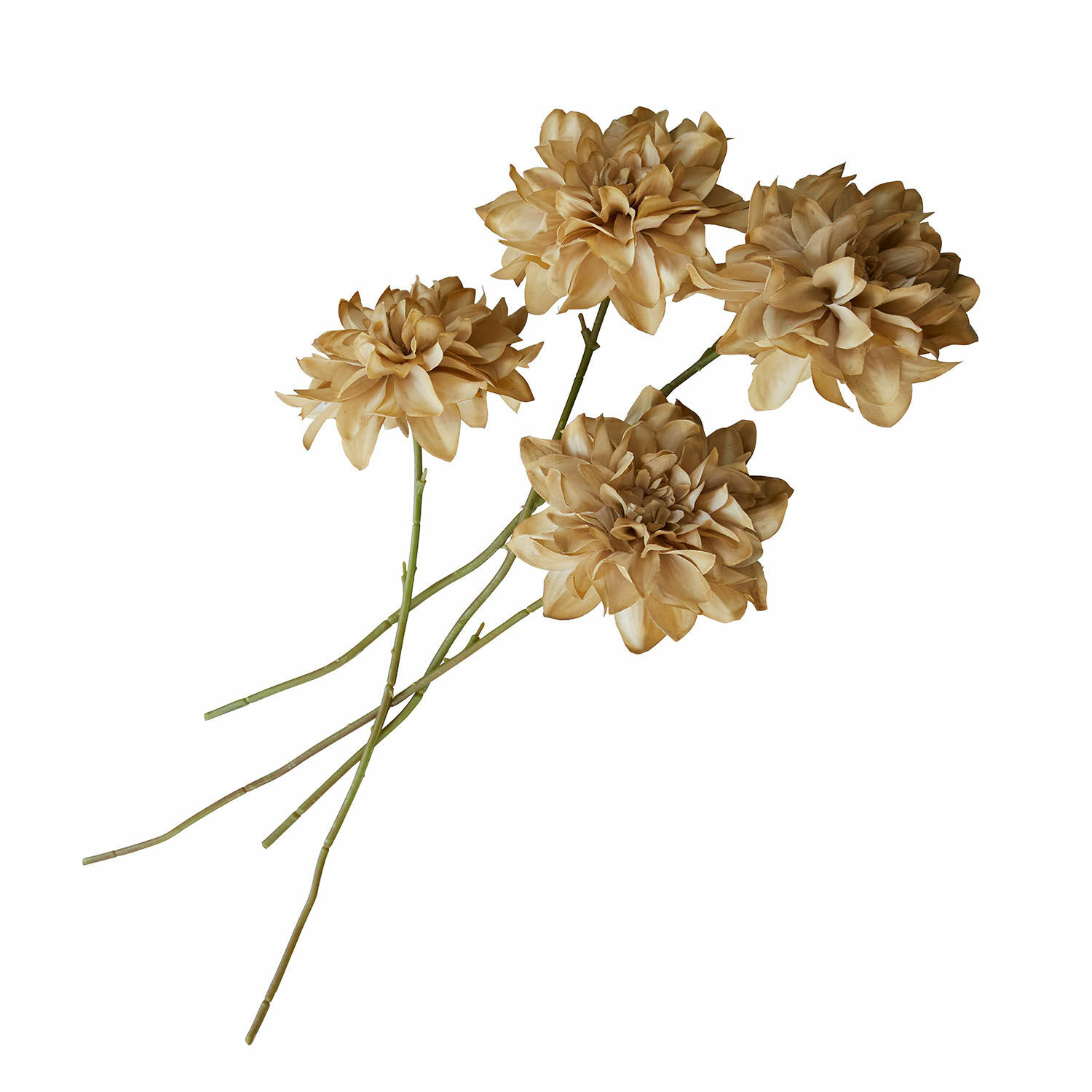 Deko-Blume 4er Set Cappellina Dekorative künstliche Blumen in Beige mit grünen Stielen für stilvolle Wohnraumgestaltung
