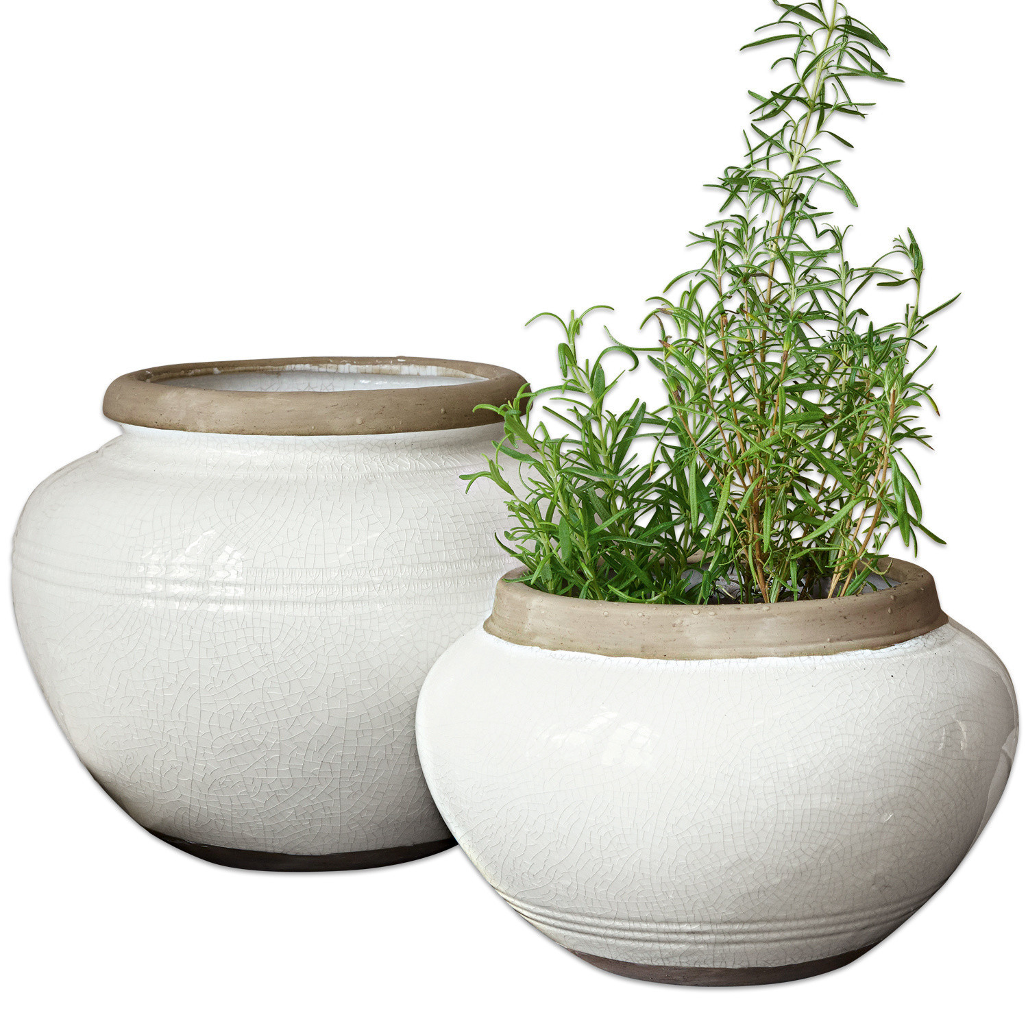 Weiße Keramikblumentöpfe mit braunem Rand, einer mit Kräutern, dekorative Pflanzgefäße für Haus und Garten