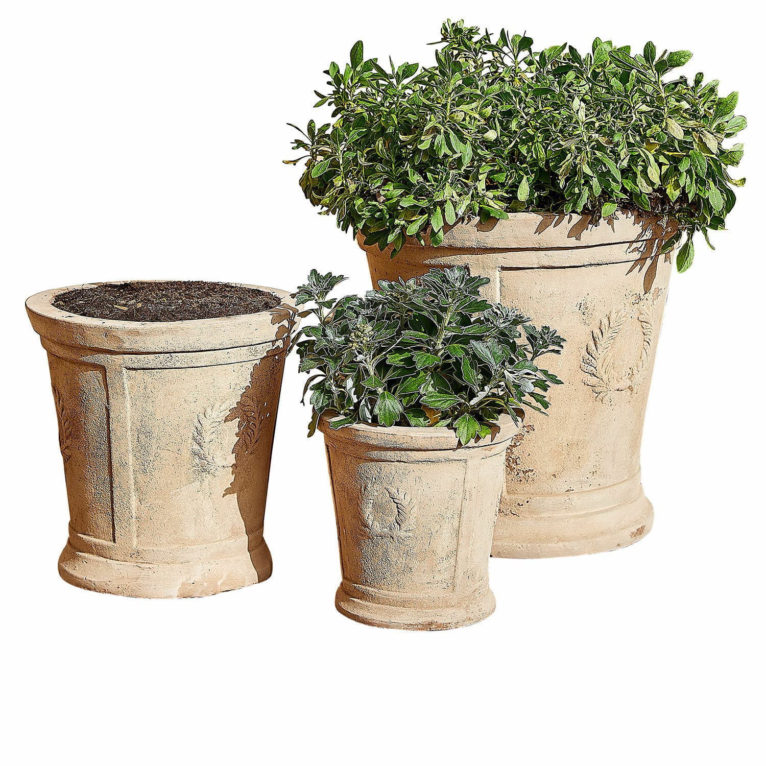 Übertopf 3er Set Nesrin Set aus drei beigen Terrakotta-Blumentöpfen mit Pflanzen, ideal für Garten und Wohnraumdekoration