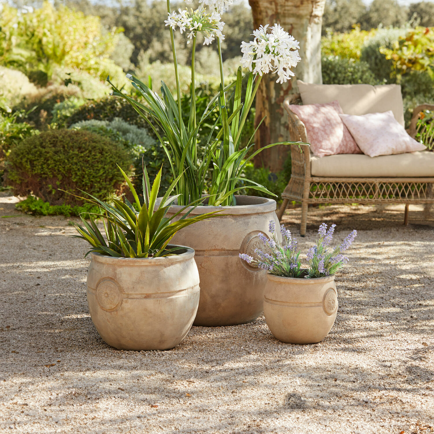 Pflanztopf 3er Set Clorivon Drei beige Terrakotta-Blumentöpfe mit Pflanzen auf Kiespatio im Garten mit Rattansofa