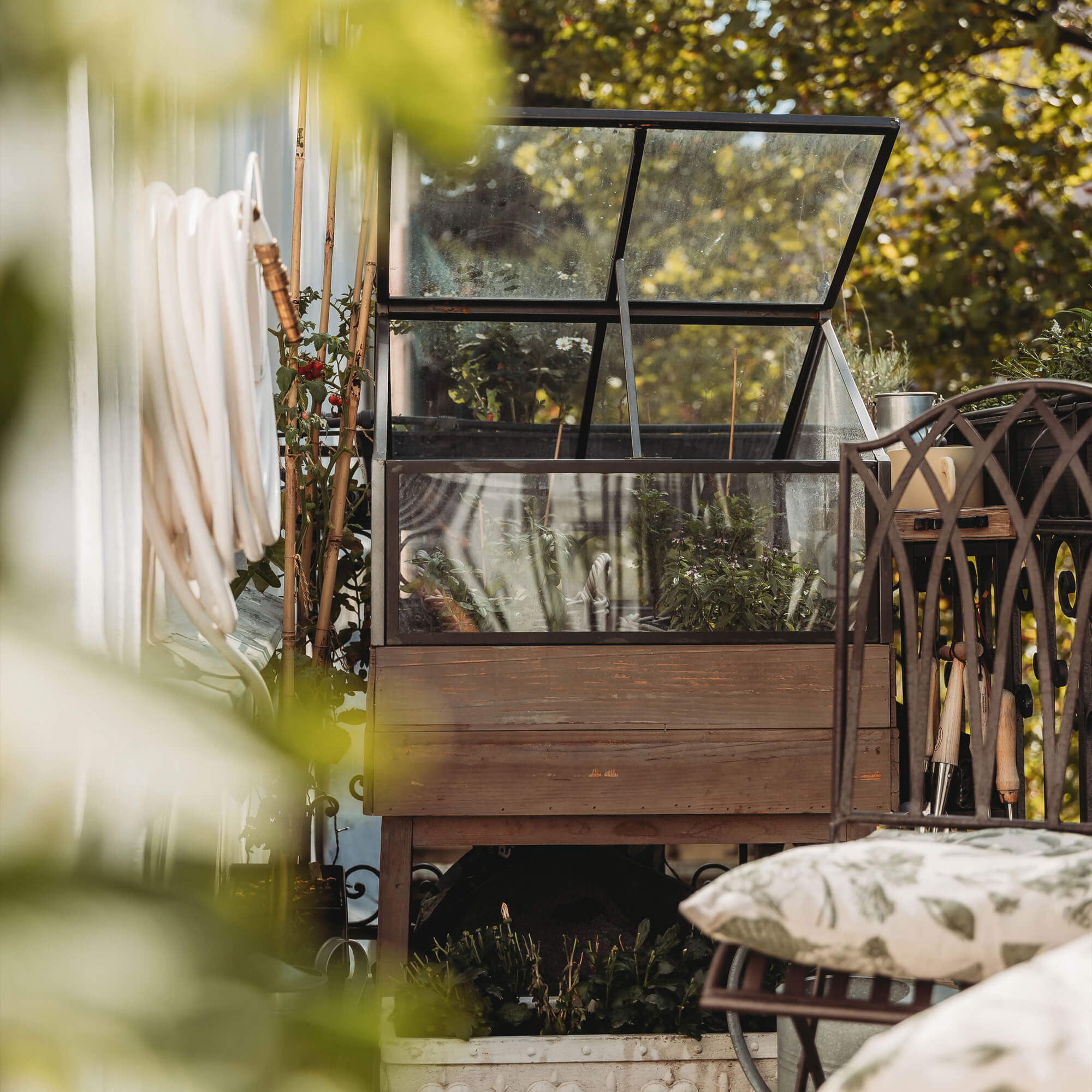 Kleine hölzerne Gartengewächshaus mit Pflanzen und Gartengeräten auf Terrasse im Sonnenlicht
