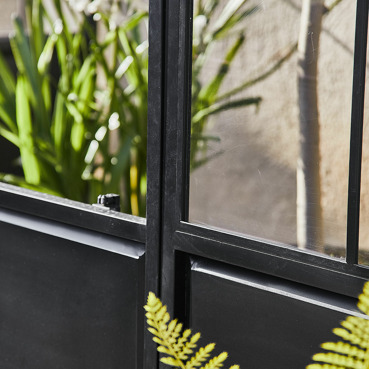 Schwarzer Metallrahmen mit klarem Glas und grünen Pflanzen im Hintergrund, modernes Design