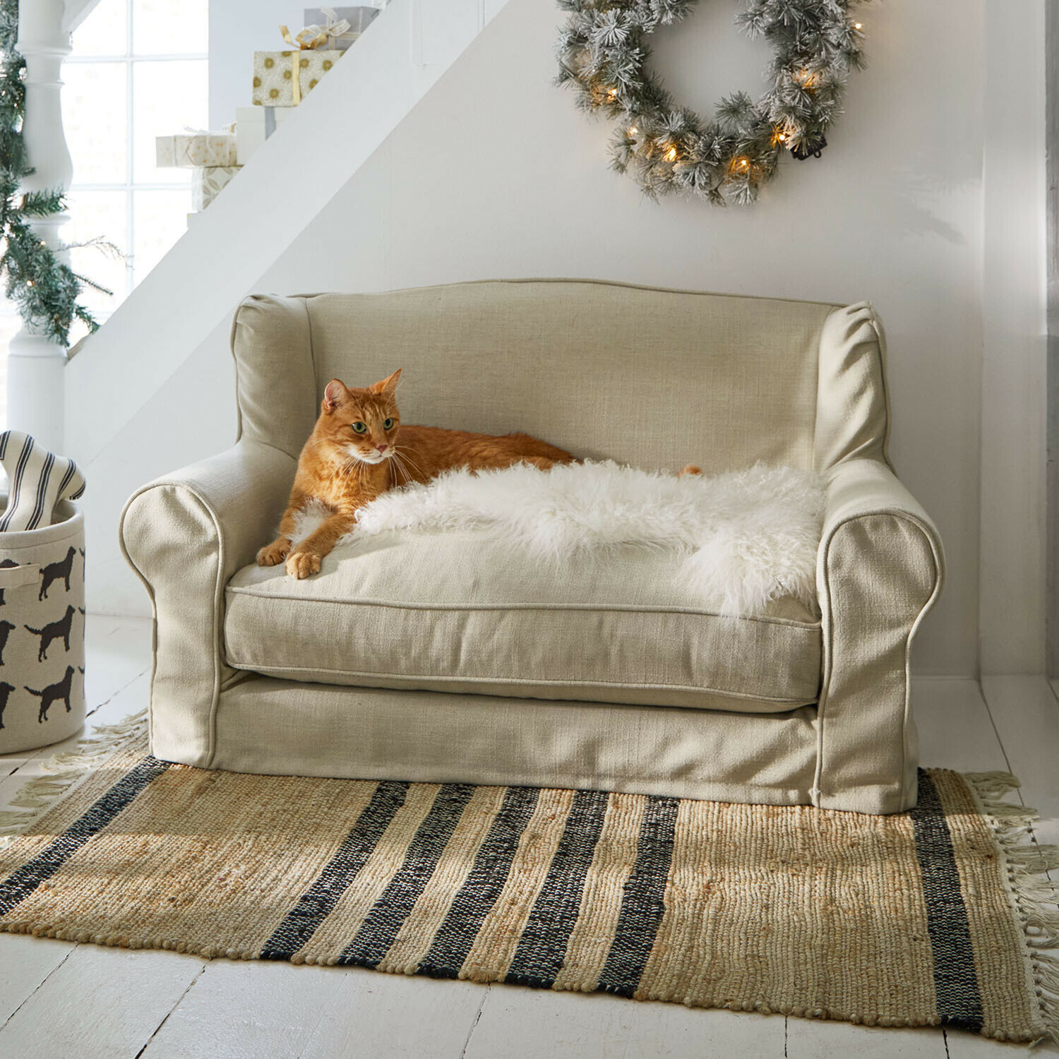 Haustiersofa Panora Beiges Zweisitzer-Sofa aus Stoff mit weißem Fellüberwurf und roter Katze auf gestreiftem Teppich