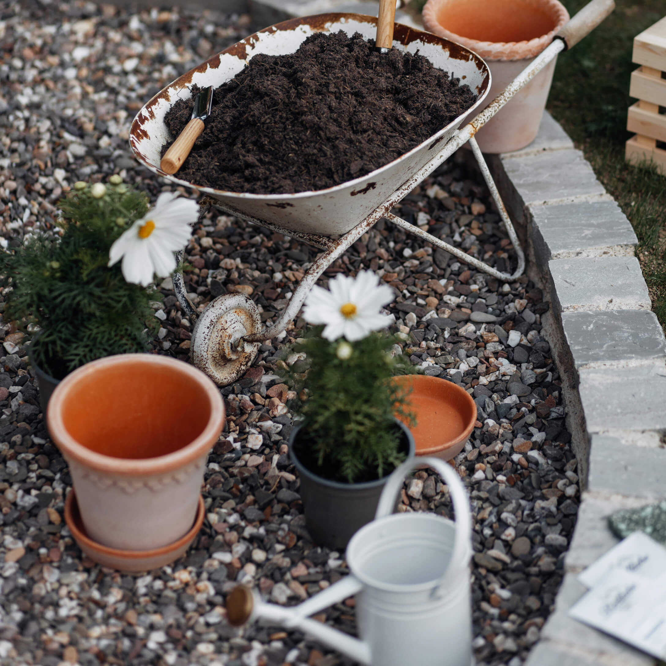 Alte weiße Schubkarre mit Erde auf Kiesboden neben Blumentöpfen und Gießkanne im Garten