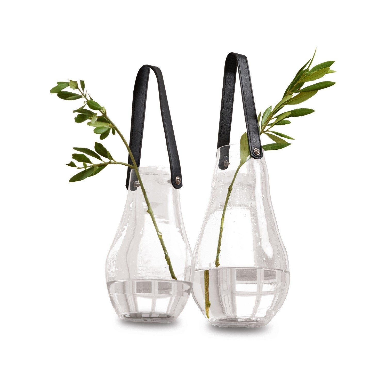 Set aus zwei transparenten Glasvasen mit schwarzen Griffen und grünen Zweigen
