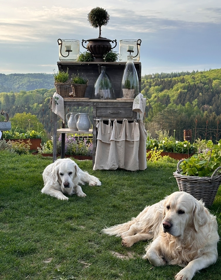 Sommergarten mit rustikalem Holztisch, Pflanzen und zwei liegenden weißen Hunden auf grünem Rasen