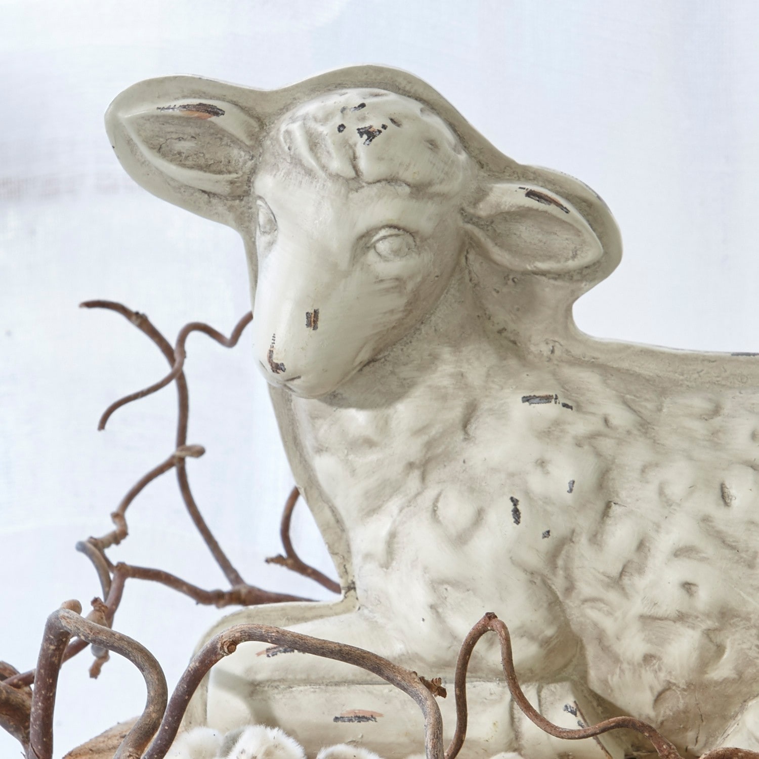 Lamm Molly-Anne