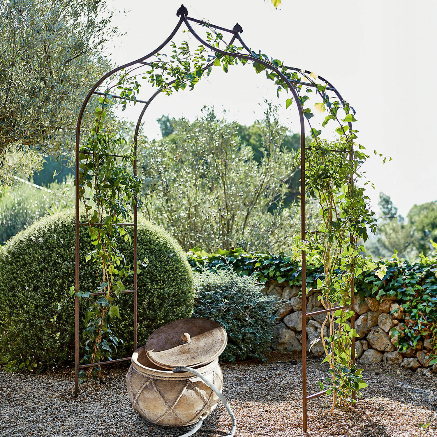 Rosenbogen Dimarus Metall-Gartenbogen mit Kletterpflanzen vor grünen Büschen und Steinmauer im Garten